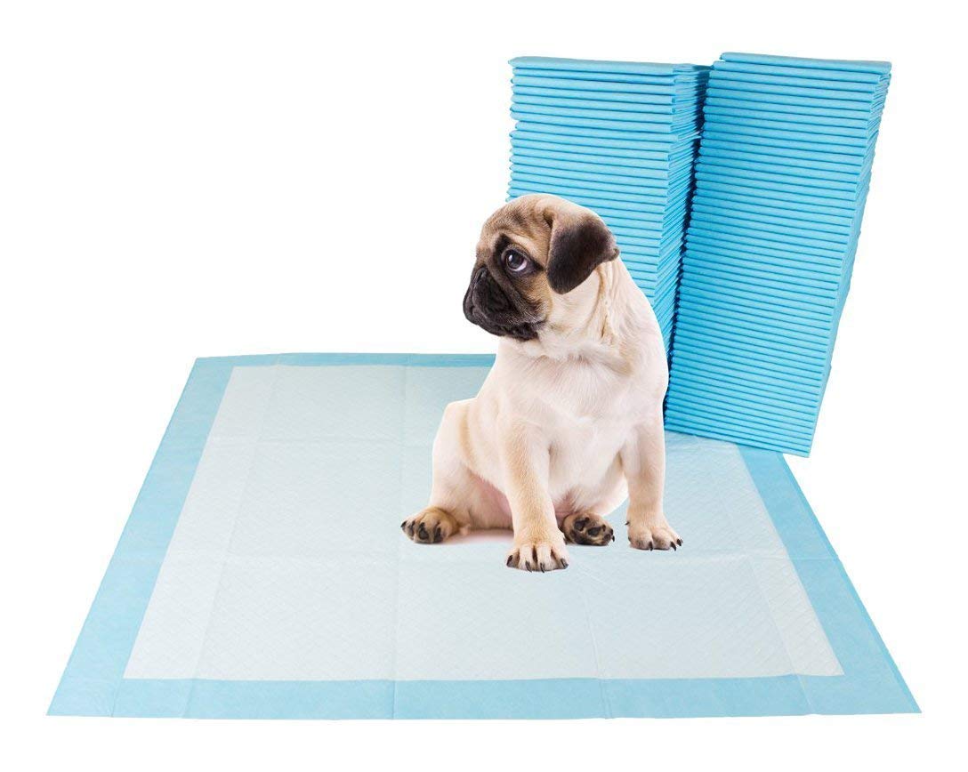 FIRMUS Pet Toilet Training Pad (90 X 60 cm) -10 Pads (B08M9RTDMC) Amazon Price History, Amazon Price Tracker