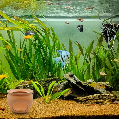 Image of Shrimp Aquarium Decorations Betta Fish Tank Accessories Decor Ceramic Tank Ornament Fish Shelter Cave Hideout for Cichlid Bonsai to Spawn