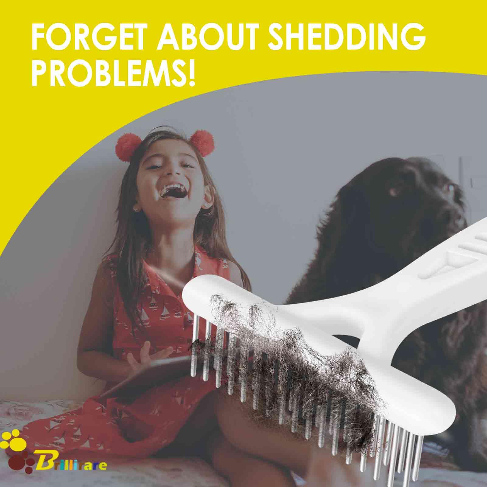 10 Best Cat Deshedding Tools in 2026 - Reviews & Top Picks - Deshedding Rake For Short Hair Azawakh