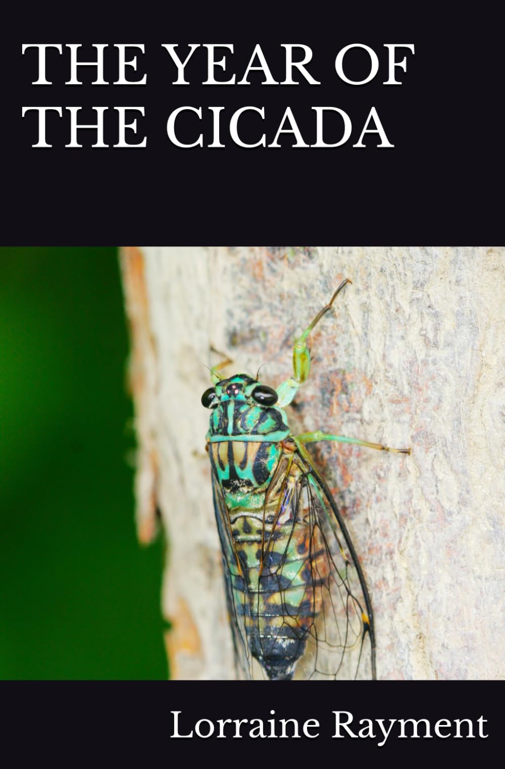 THE YEAR OF THE CICADA (DogPark)