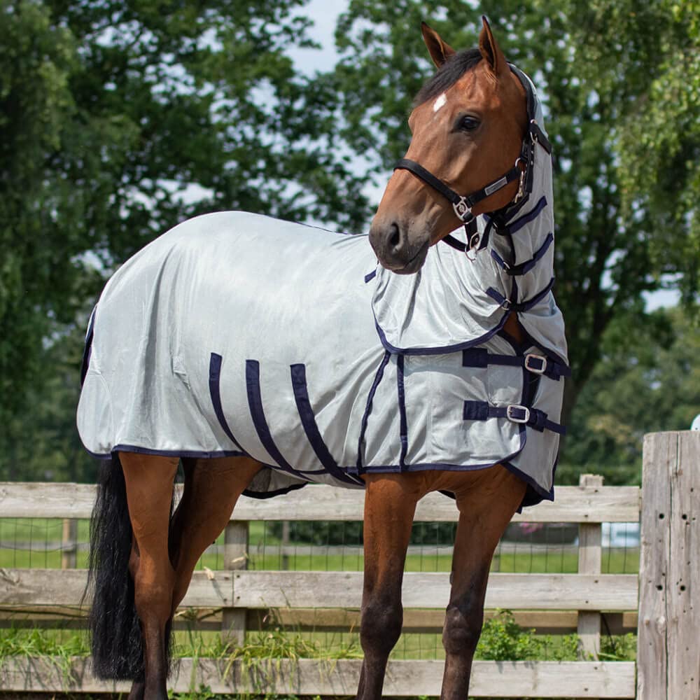 QHP – Manta antimoscas para caballo con sombrero y cuello, 3 cinturones en el viente y cierre frontal