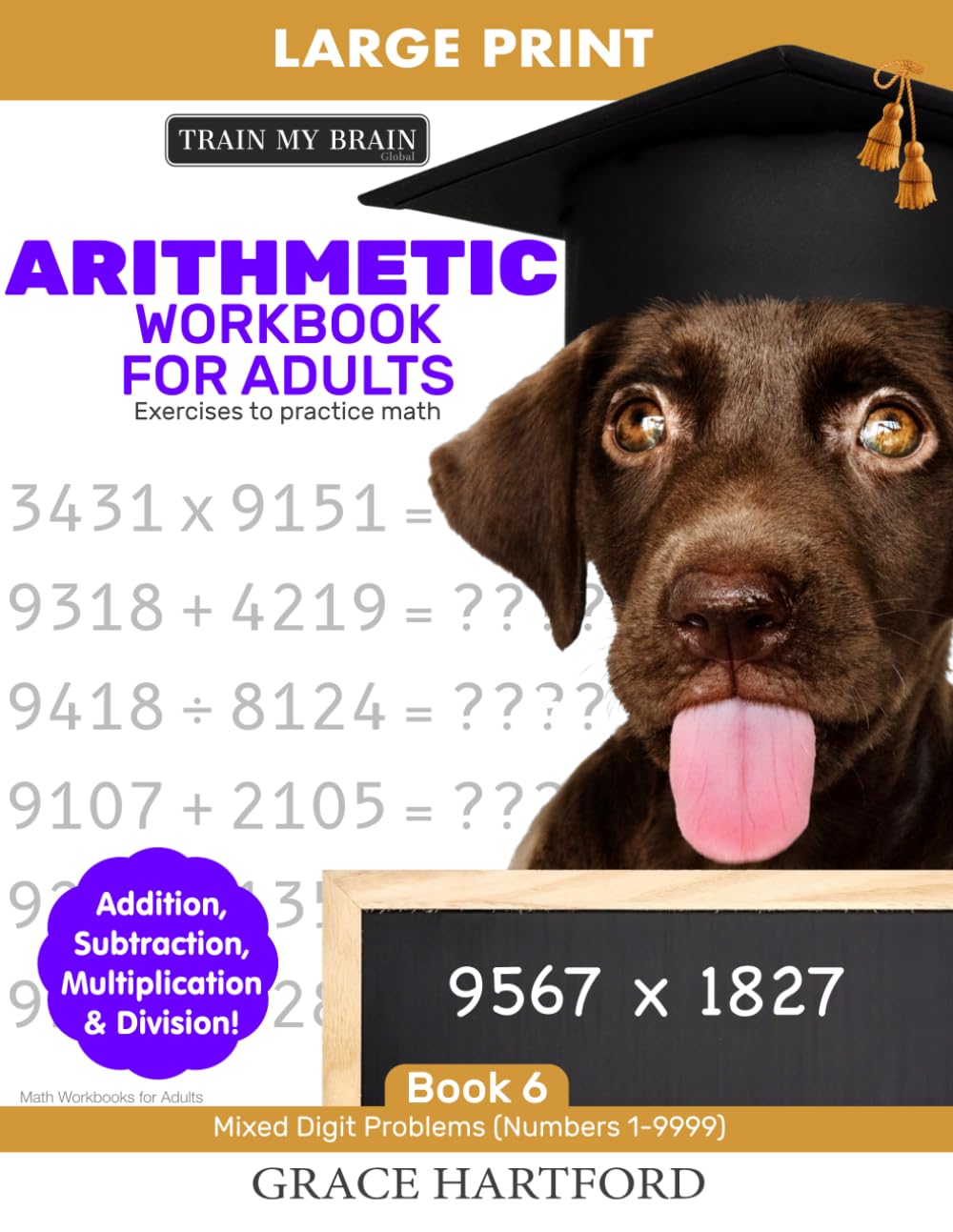 Arithmetic Workbook for Adults (Math Workbooks for Adults)
