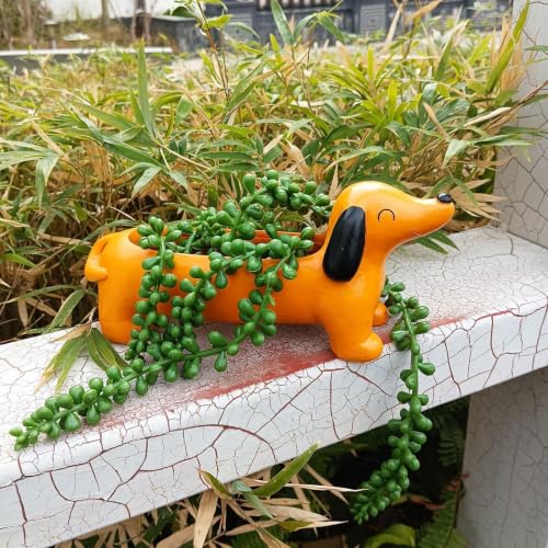 Pot à fleurs Dachshund en résine : jardinière à cactus Teckel pour balcon