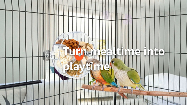 Bird Creative Foraging System Wheel Seed Food Ball Rotate Training Toy for Small and Medium Parrots Parakeet Cockatiel Conure (Clear) - image 8