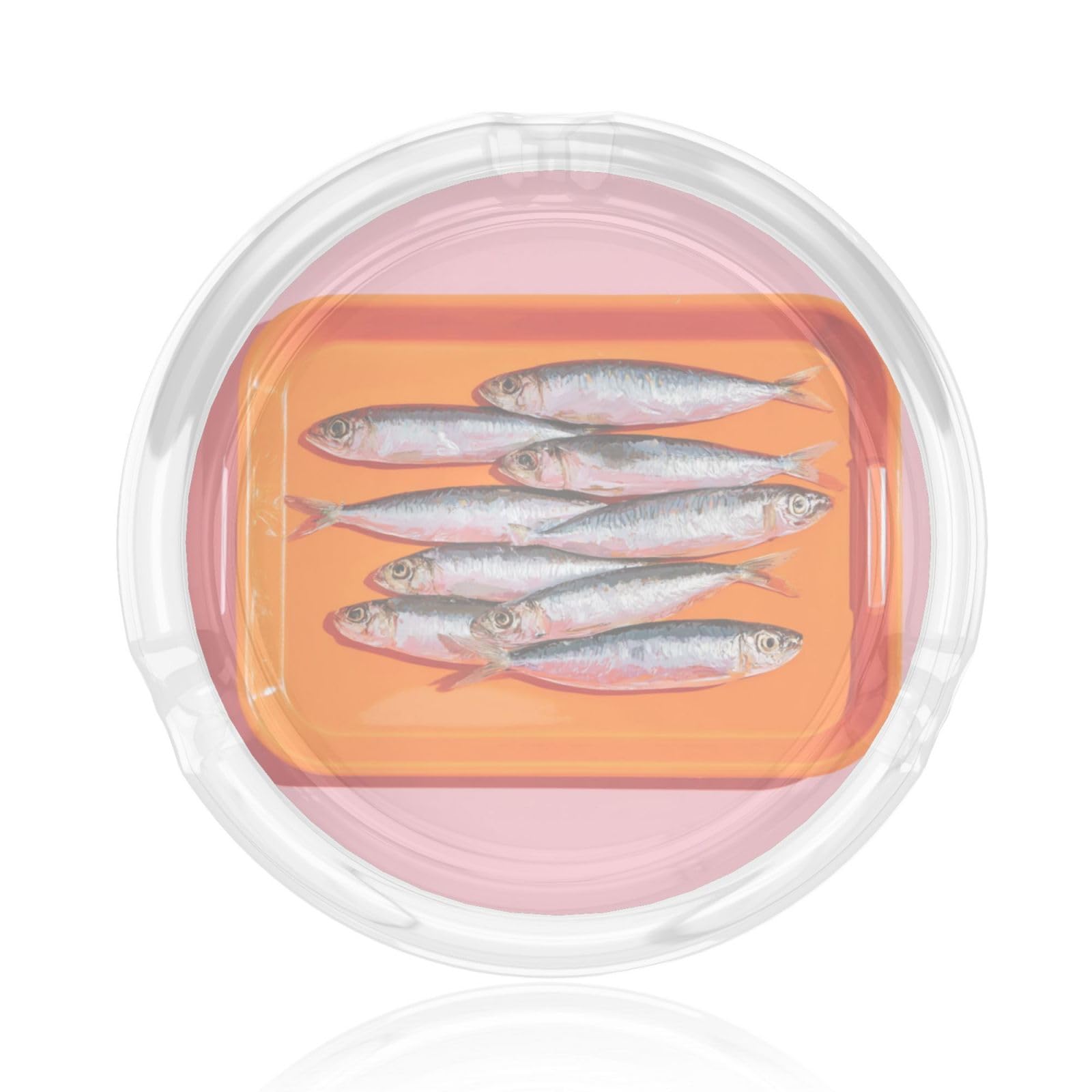Sardines On An Orange Tray Glass Ashtray For Cigarettes Ash Trays Case For Home Office Decor