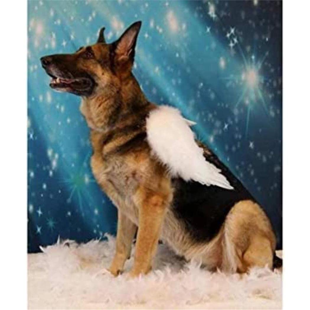 TNXEV 5D Diamond Painting Kits German Shepherd Dog DIY Full Drill Rhinestone Embroidery Pictures Diamond Art Kits for Adults Gift 50x50cm