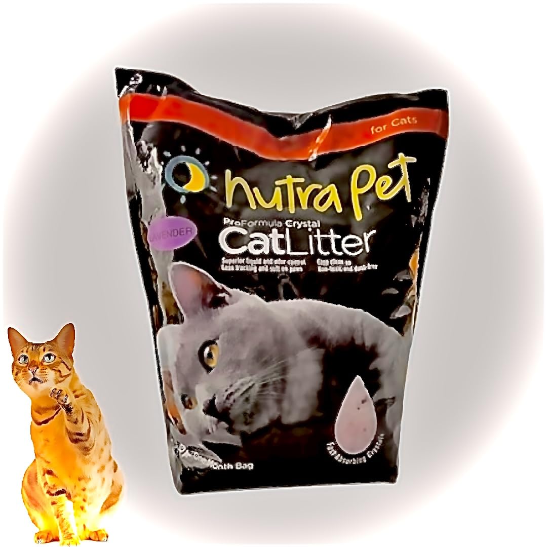 See full amazon price history chart for PetaHouse (( Limited Edition )) Nutrapet Pro Formula Crystal Cat Litter for Cats and Kittens | Lavender Flavour Cat Litter (Silica Gel) - 7.6 Litre in Pack of 1 PetaHouse (( Limited Edition )) Nutrapet Pro Formula Crystal Cat Litter for Cats and Kittens | Lavender Flavour Cat Litter (Silica Gel) - 7.6 Litre in Pack of 1 (B0CCF3TLLS) Amazon Price History, Amazon Price Tracker