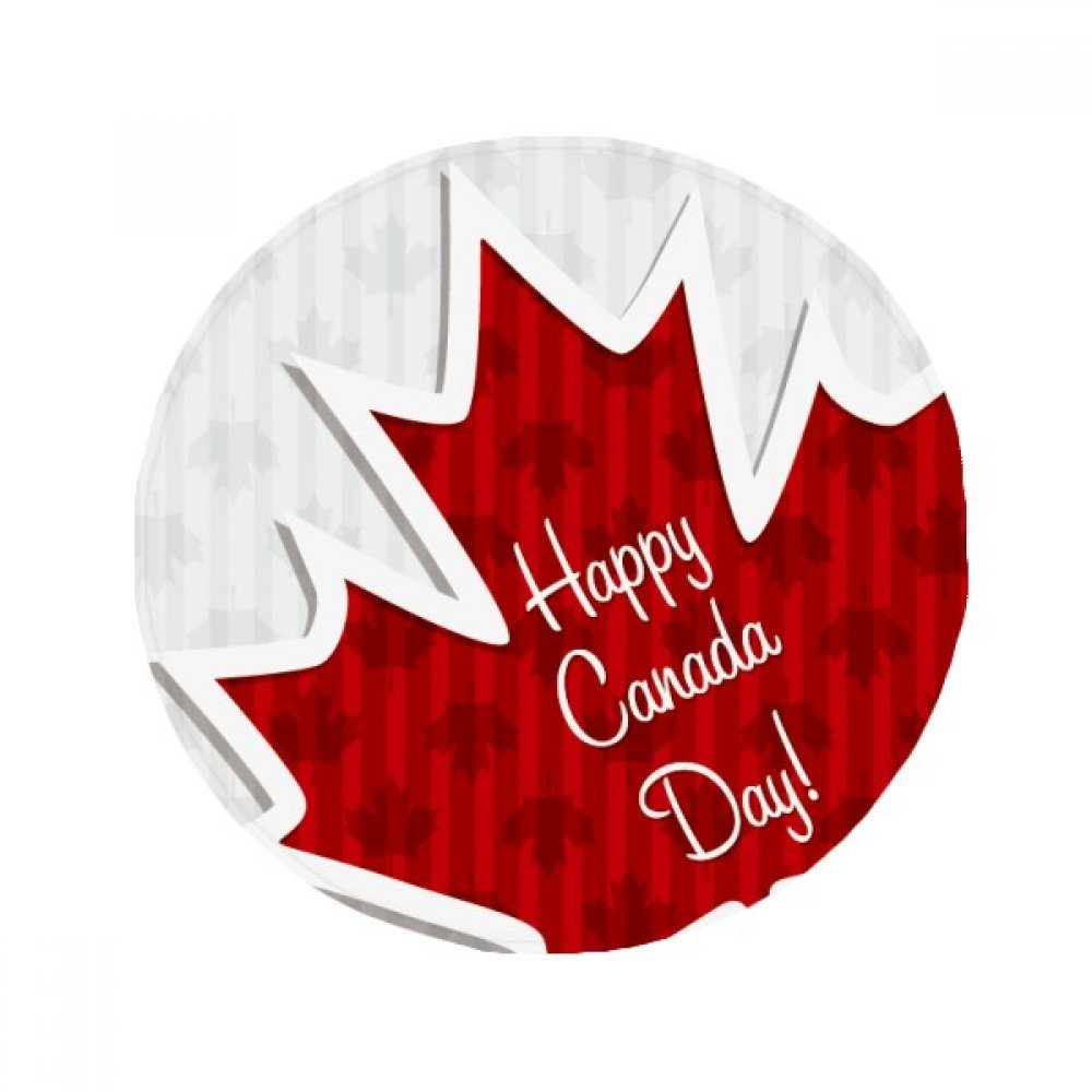 Cadeau Fête du Canada tapis de sol pet multicolore pour entrée