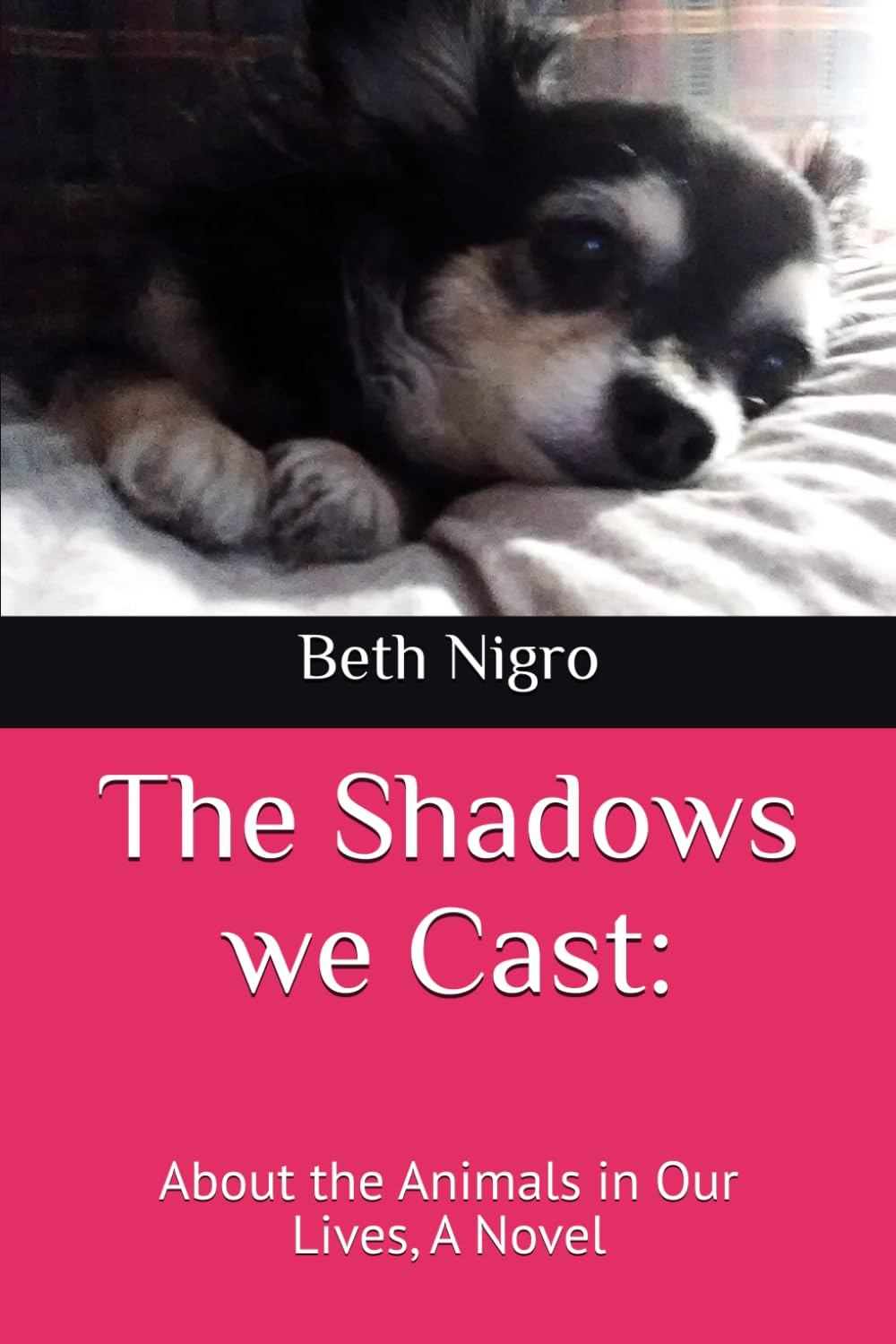 The Shadows we Cast:: About the Animals in Our Lives, A Novel