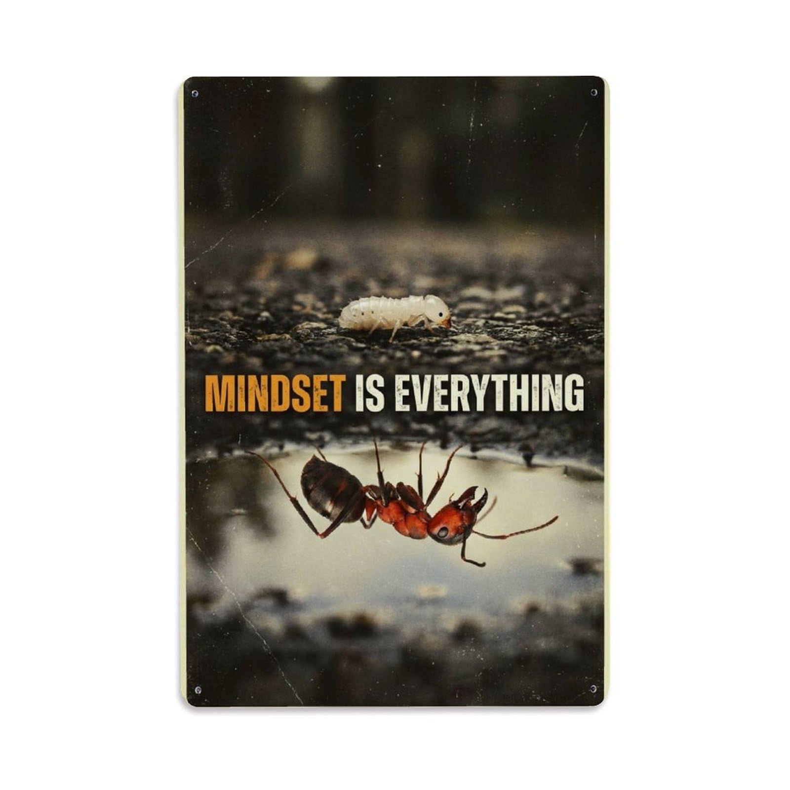 Olhnbad Style Ant Insect Mindset Is Everything Motivational Quote Metal Tin Sign