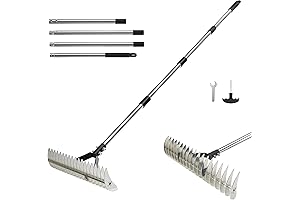 Thatch Rake: The Ultimate Solution for a Pristine Lawn