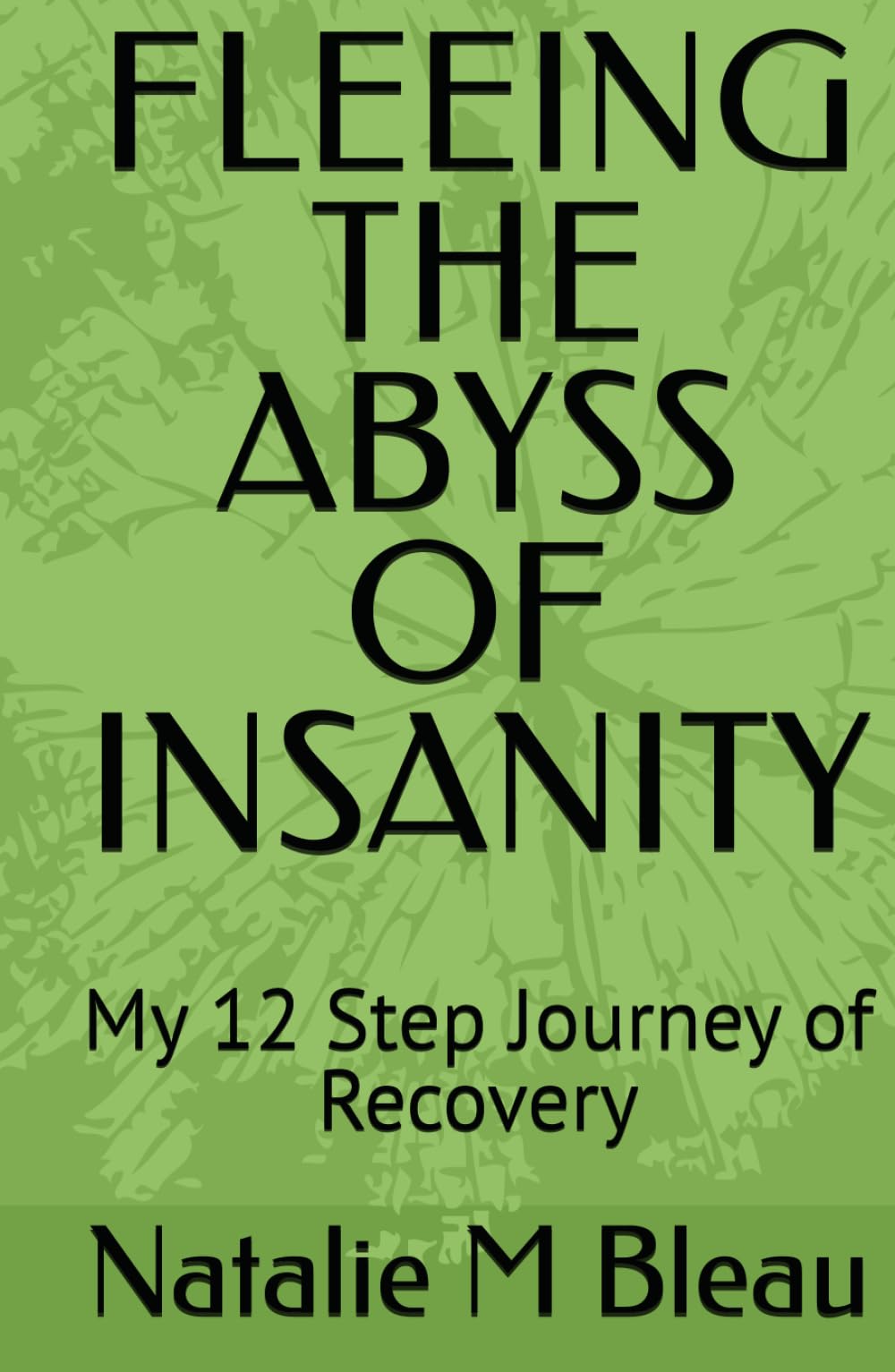 FLEEING THE ABYSS OF INSANITY: My 12 Step Journey of Recovery