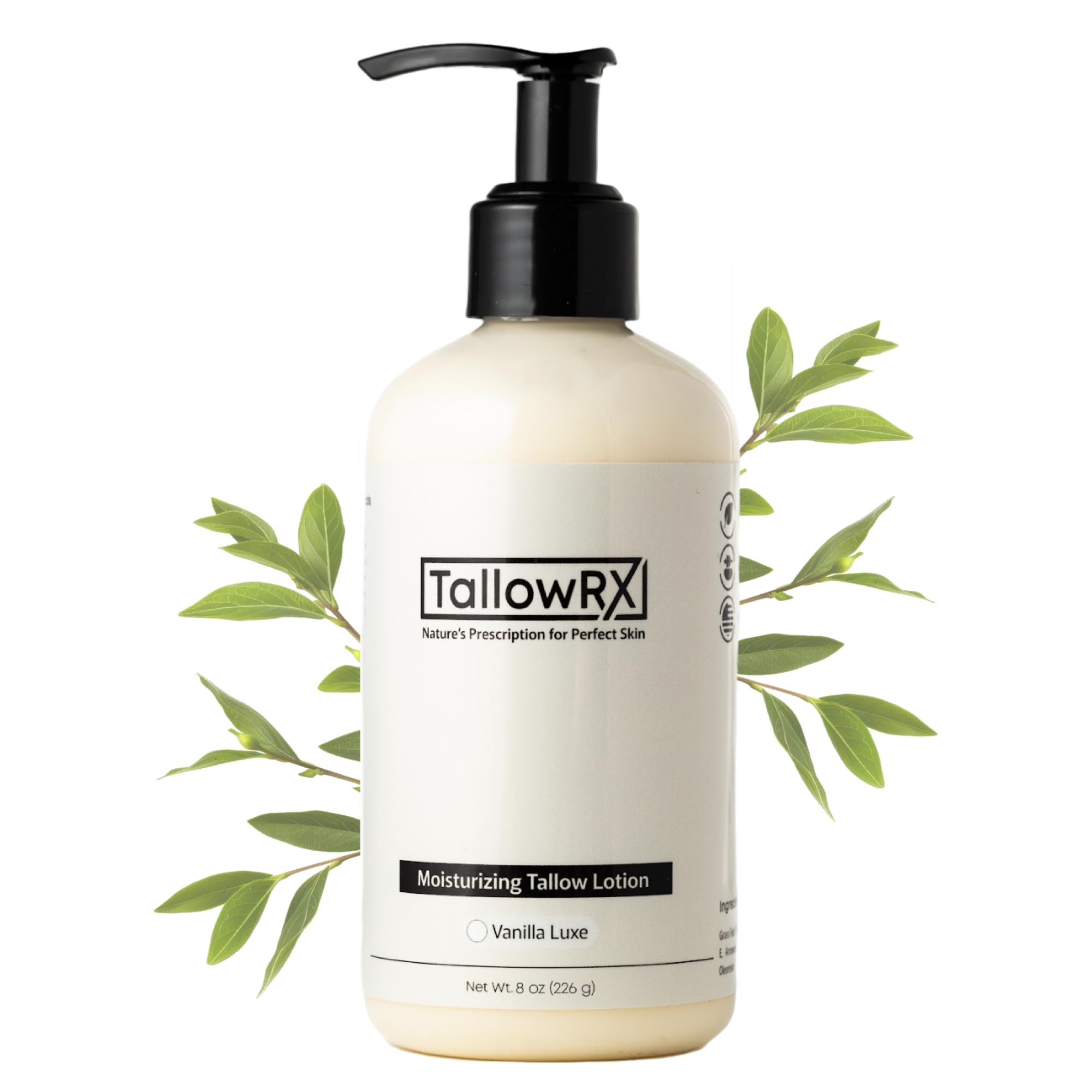 TALLOWRX Tallow Body Lotion – 100% Grass-Fed Beef Tallow for Skin, Face & Body – Pure & Organic Moisturizer with Jojoba Oil, Vitamin E (8 Fl Oz,