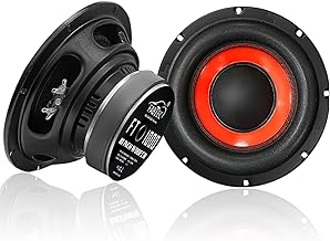 FABTEC 10 Inch 250W RMS Subwoofer with 1000W Peak Power | 4 Ohm, 1.5" Voice Coil, 4-Layer Copper Coil | 120x25mm Magnet | for Car, Home Theater & DIY Audio Projects(Color May Vary)