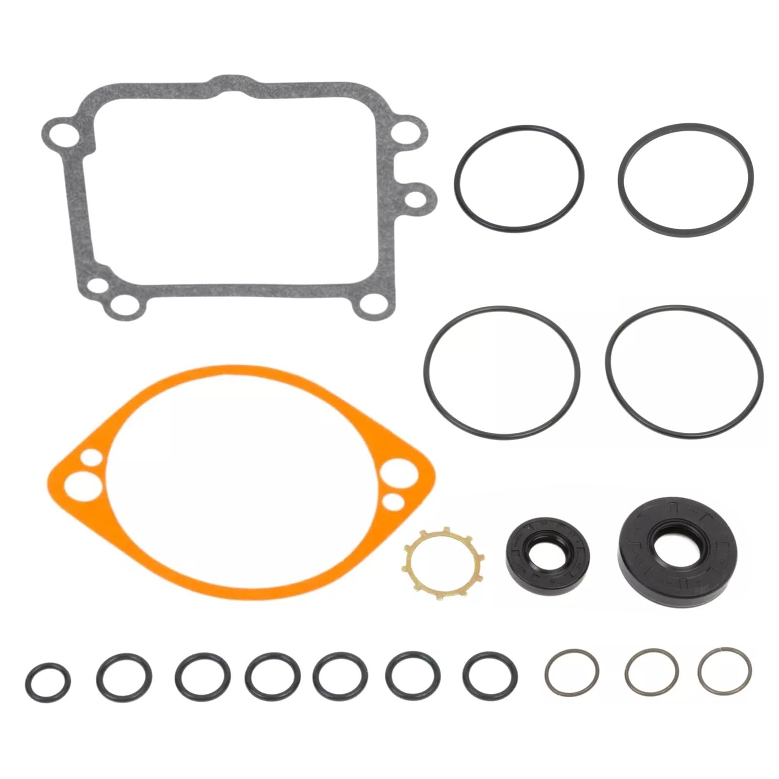 Kacarber Pump Seal Kit for Hydro Gear 2513018 BDP-10L Compatible with Toro Exmark 80-6130 Ariens 58800300