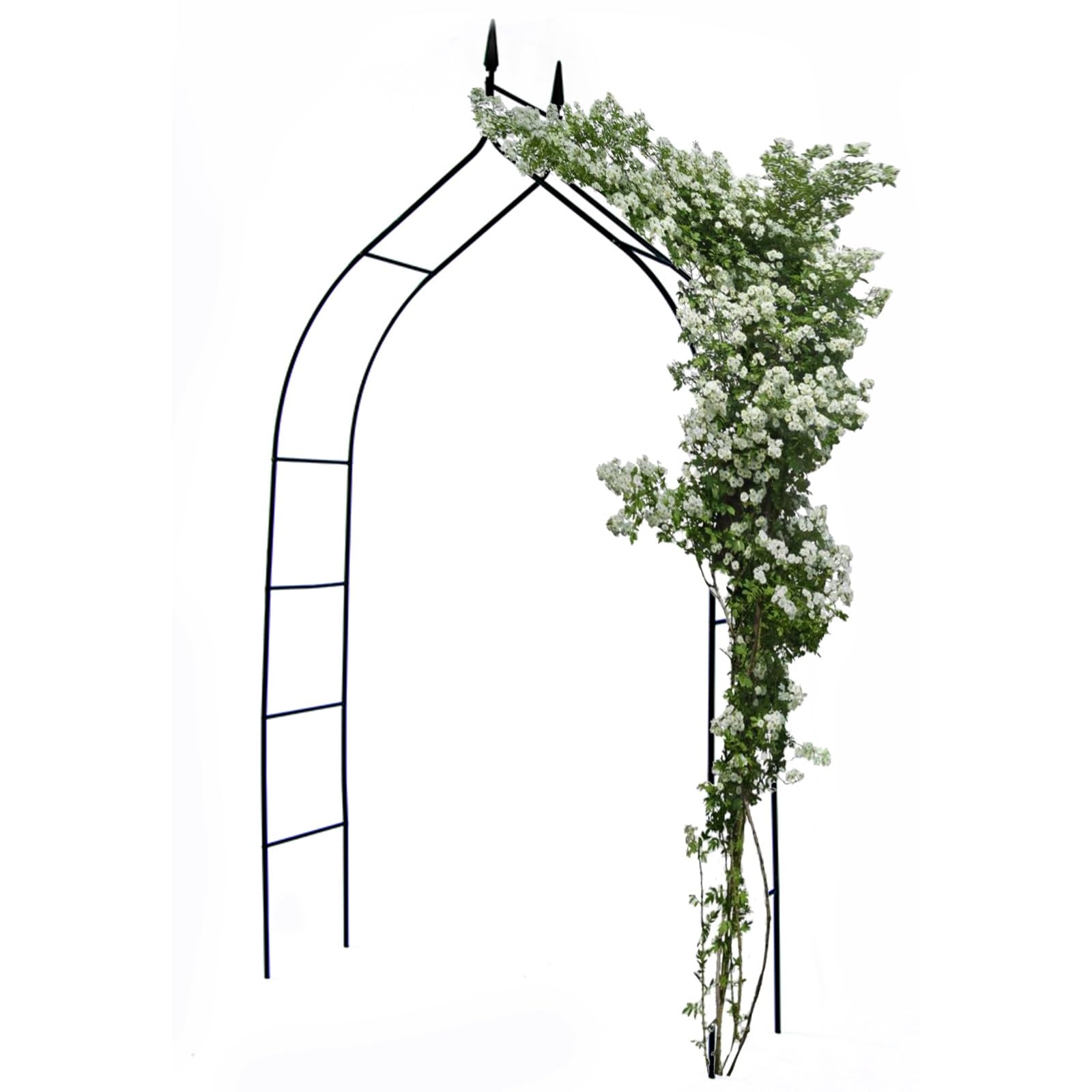 Pergola de terrasse extérieure avec arche en métal noir pour rosiers