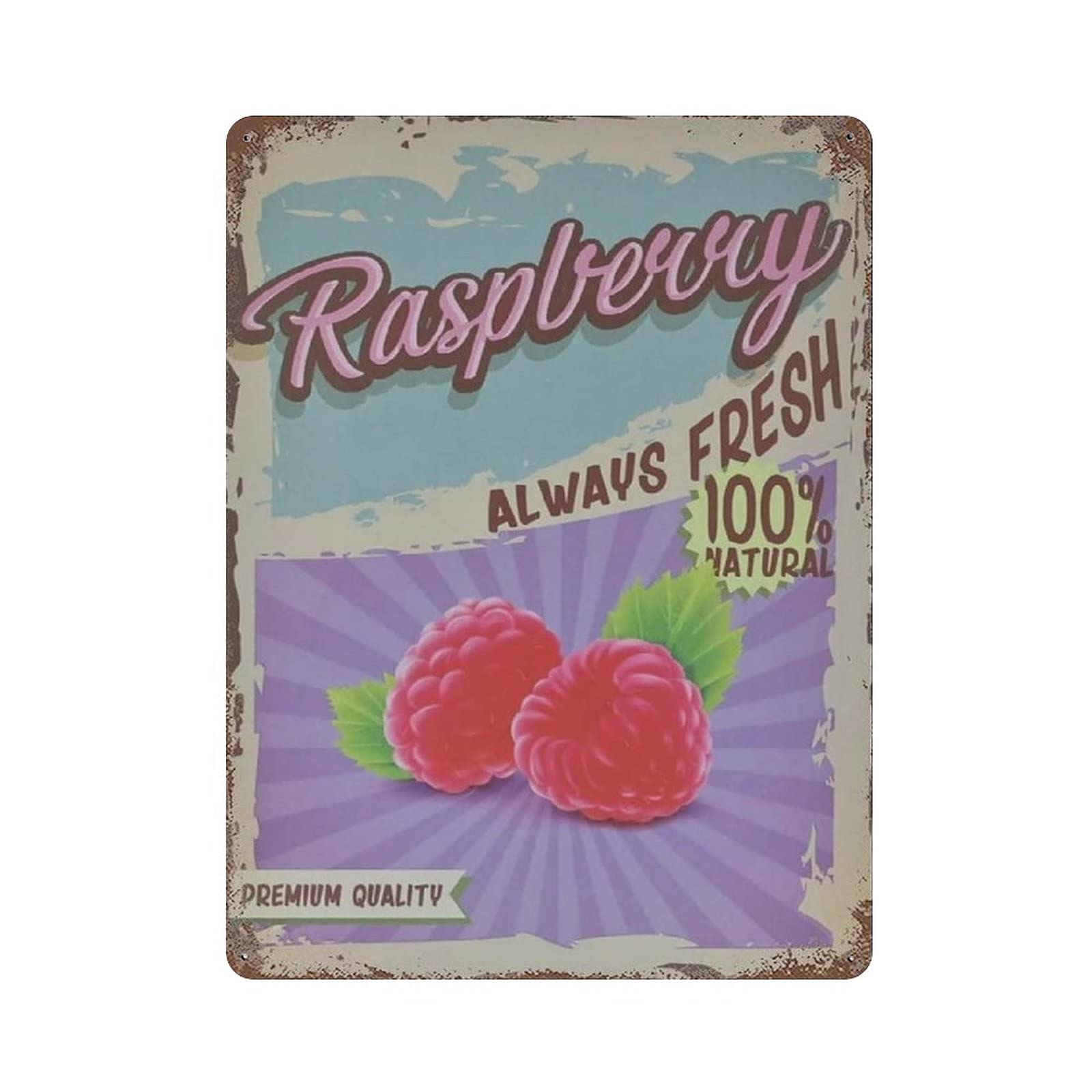 Raspberry Farm Fruit Metal Signs, Fun Poster For Bar Kitchen Cafe Farmhouse Wall Decor 12x16 inch
