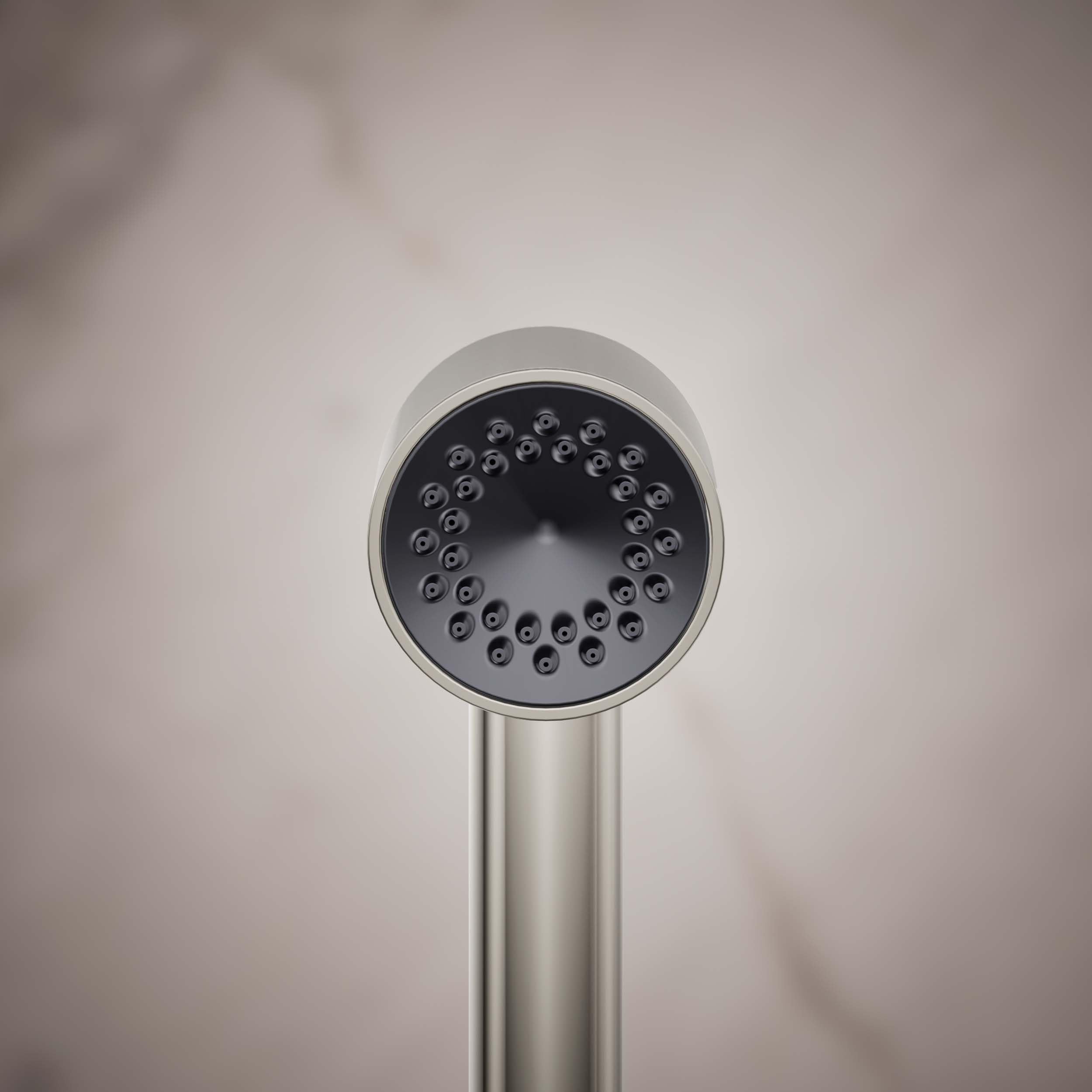 STATEMENT™ 1F - Ducha de mano icónica
