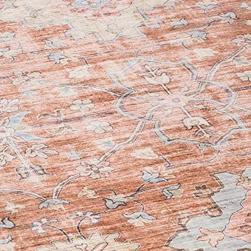 ReaLife Machine Washable Rug - Stain Resistant, Non-Shed - Eco-Friendly, Non-Slip, Family & Pet Friendly - Made from Premium Recycled Fibers - Distressed Boho Border - Terra Cotta Light Blue - 5' x 7'