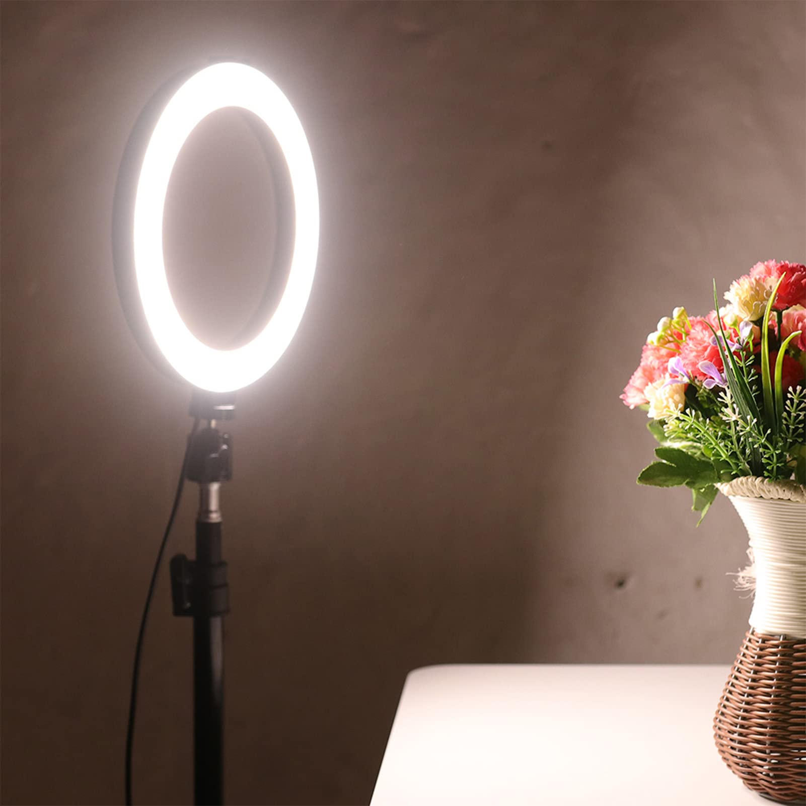 Anello Luminoso LED da 10"con Supporto per treppiede, 3 modalità di Luce dimmerabili Anello Luminoso per Selfie con Supporto per Telefono, Lampada LED per Porta USB