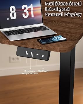 Standing Computer Gaming Office Desk - 48 x 24 Inches Adjustable Stand Up Electric Height Rising Table with Memory Presets for Home Study Writing PC Work, Modern Simple Walking Sit Desk, Easy Assembly