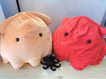 イカタコのぬいぐるみセットとアラーモ イカタコのぬいぐるみセットとアラーモ イカタコのぬいぐるみ