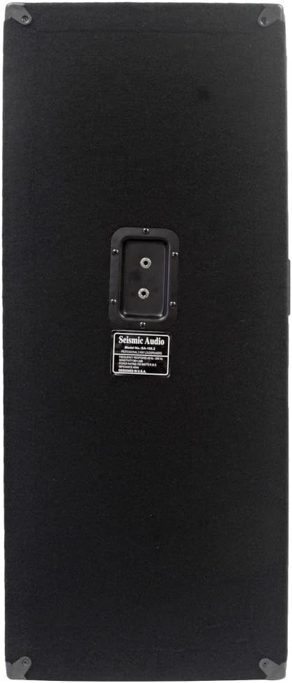 Rear view of Seismic Audio SA-155.2 Speaker with inputs
