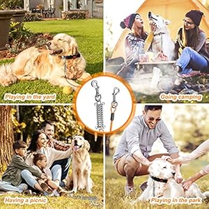   Dog-Tie-Out-Cable-Jhua-20ft-Tie-Out-Cable-for-Dogs-Stainless-Steel-Wire-Rope-with-Shock-Absorbing-Spring-Metal-Swivel-Hooks-Pet-Tie-Out-Cable-for-Large-Dogs-Up-to-110-lbs-Orange