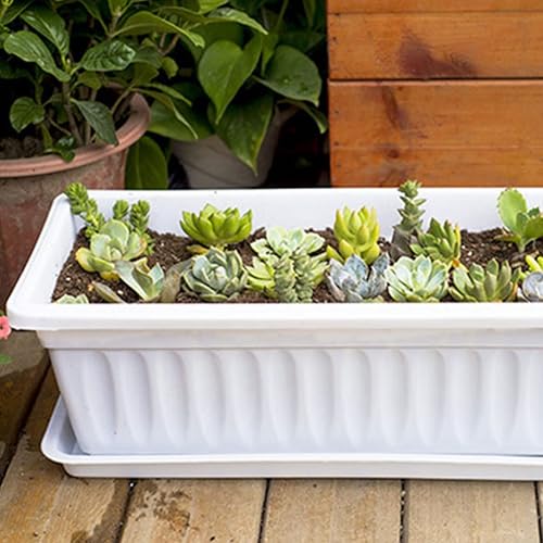 Miniatura 6 de Yardwe Macetero para ventana, 2 macetas de plástico para verduras, macetas rectangulares con bandeja para jardín interior y exterior, patio,