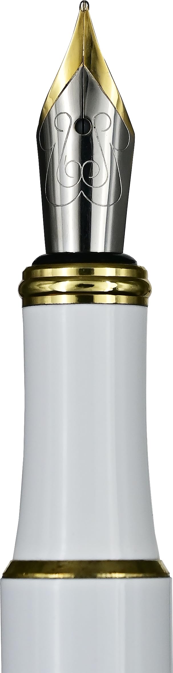 Wildflower Garden Fountain Pen (includes universal cartridge and piston converter) - Image 2