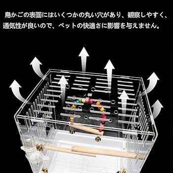Amazon | 鳥かご インコ 【2023夏新定番】 鳥 アクリルケージ