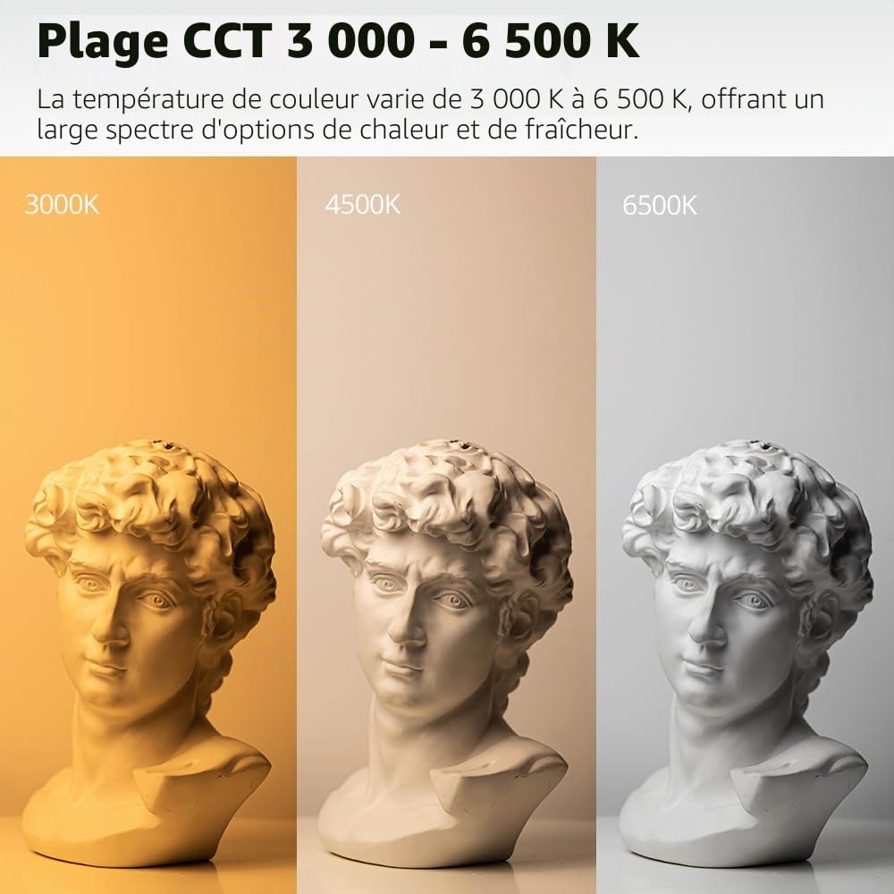 Kit d'éclairage de Photographie Softbox - 2 x 65 cm - avec trépied de 2 m et 2 Ampoules LED Bicolores 50 W 3000-6500 K - Éclairage continu à LED pour Enregistrement vidéo/Streaming en Direct