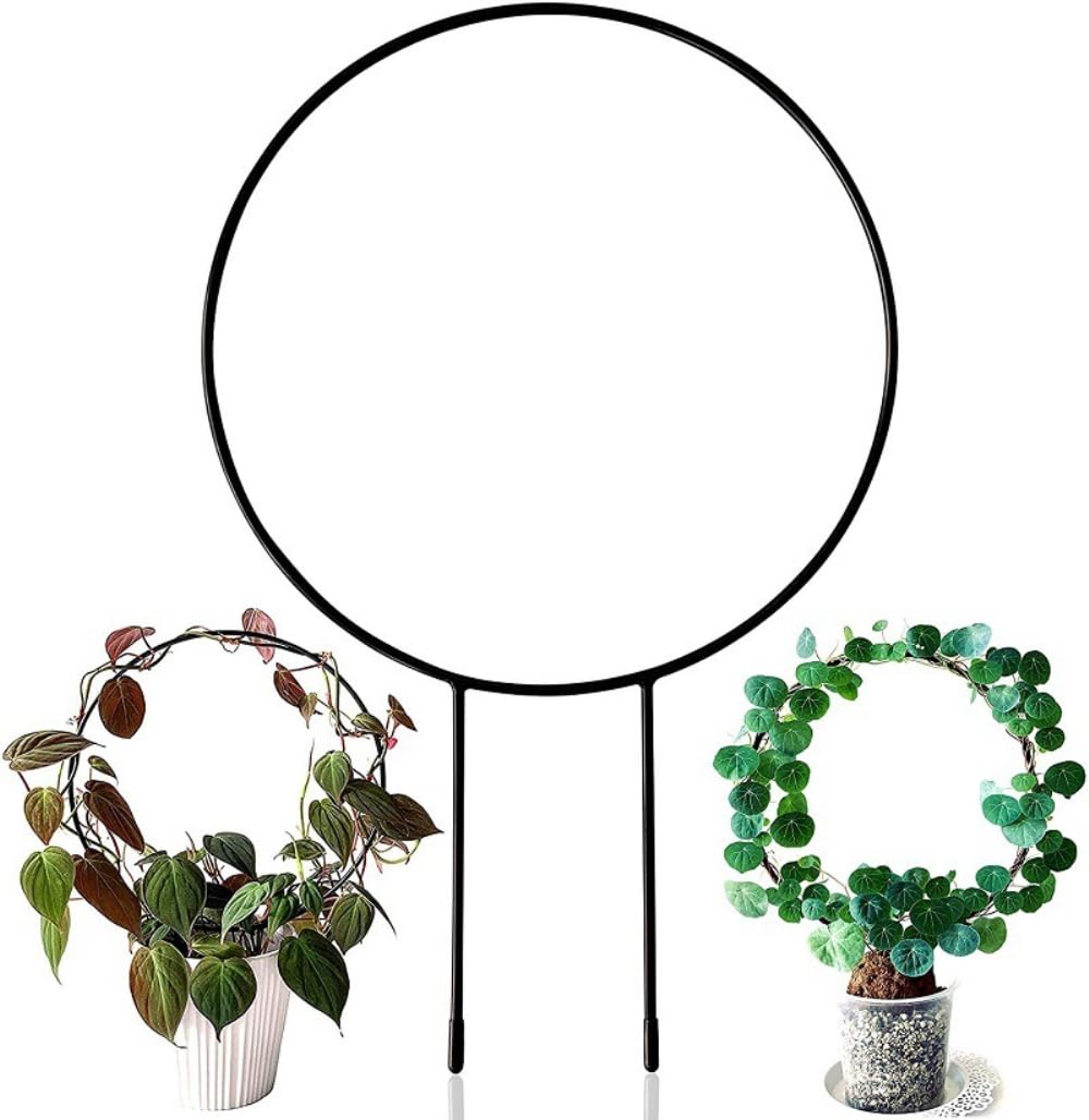 LEAFLO Hart Klimhulp Voor Kamerplanten In Hartvorm 30 Cm, Metaal - Plantensteun - Klimtralie - Bloementralie, Interieurdecoratie, Voor Plantenliefhebbers