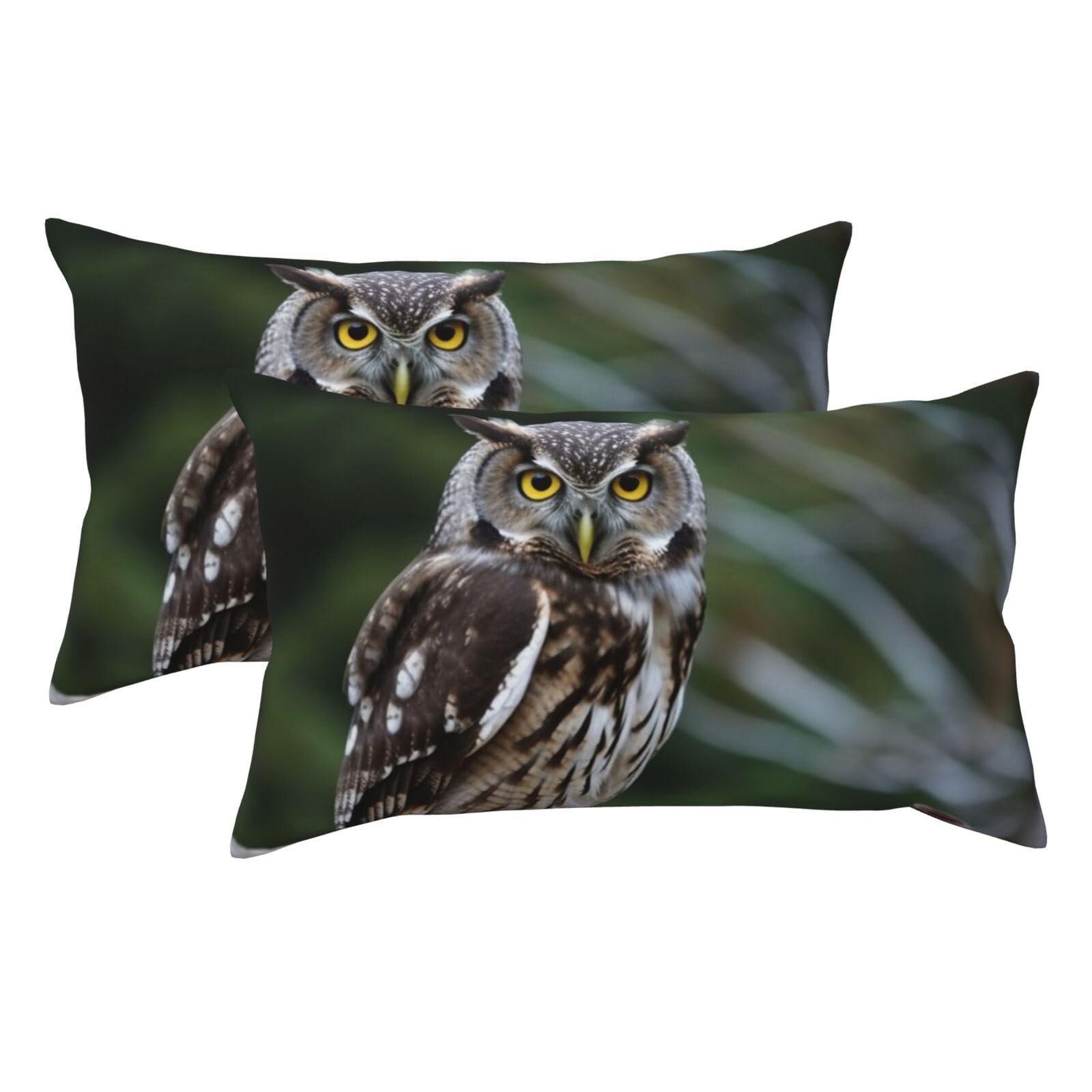 2 Pack King Pillow Cases with Hidden Zipper, Soft Breathable Pillow Covers for Hair and Skin, Wild Owl Birds Pillowcases 20"x36" Bed Pillow Protectors Cover for Sleeping Gifts