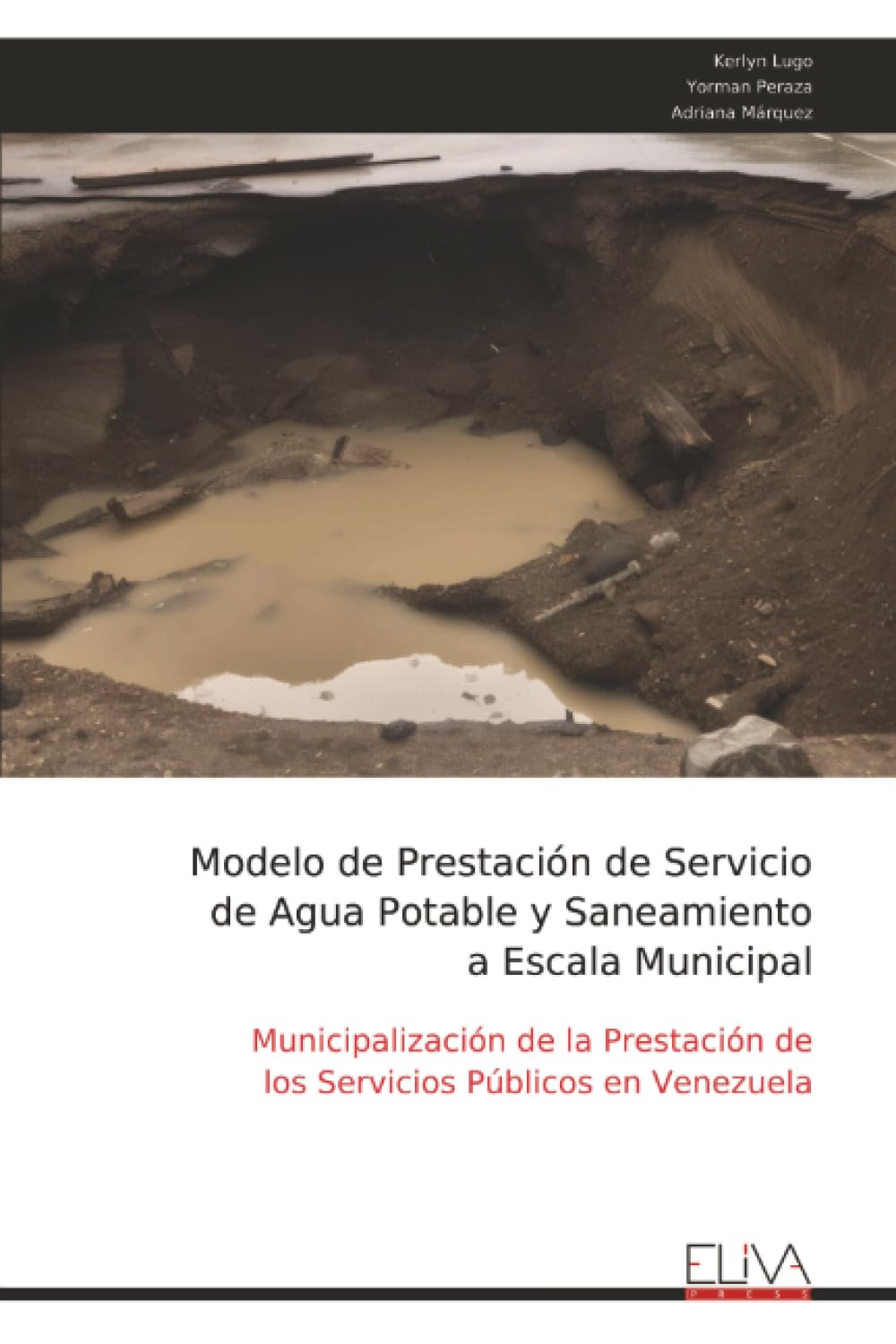 Modelo de Prestación de Servicio de Agua Potable y Saneamiento a Escala Municipal: Municipalización de la Prestación de los Servicios Públicos en Venezuela