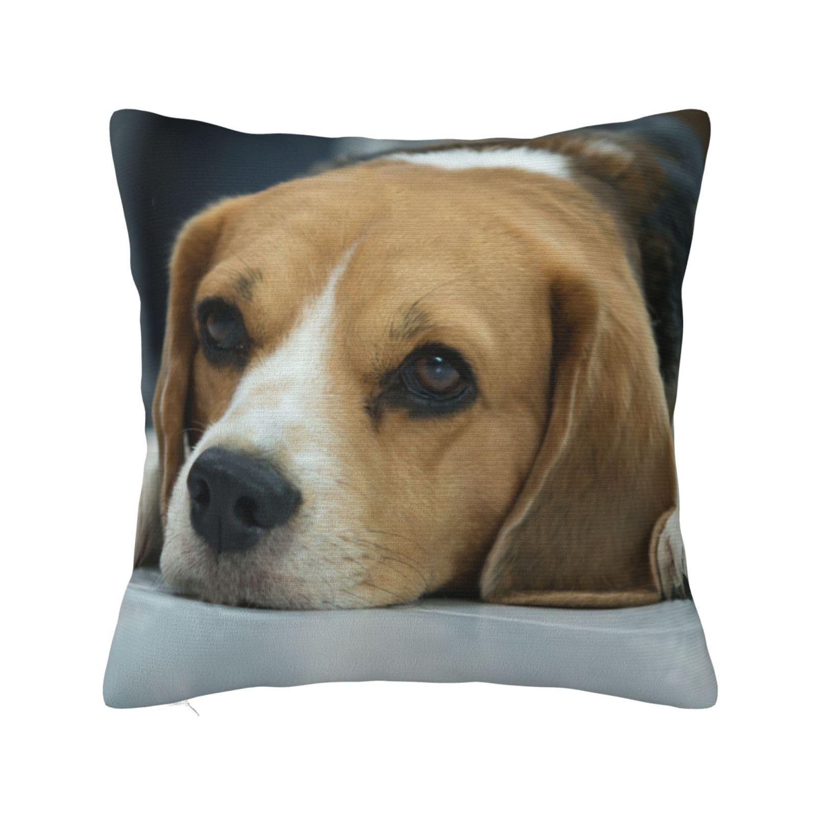 Inomak As Picture Cute Beagle Dog Lies On Floor, Throw Pillow Cover Decorative Polyester Pillowcase Soft Cushion Covers 16"X16"