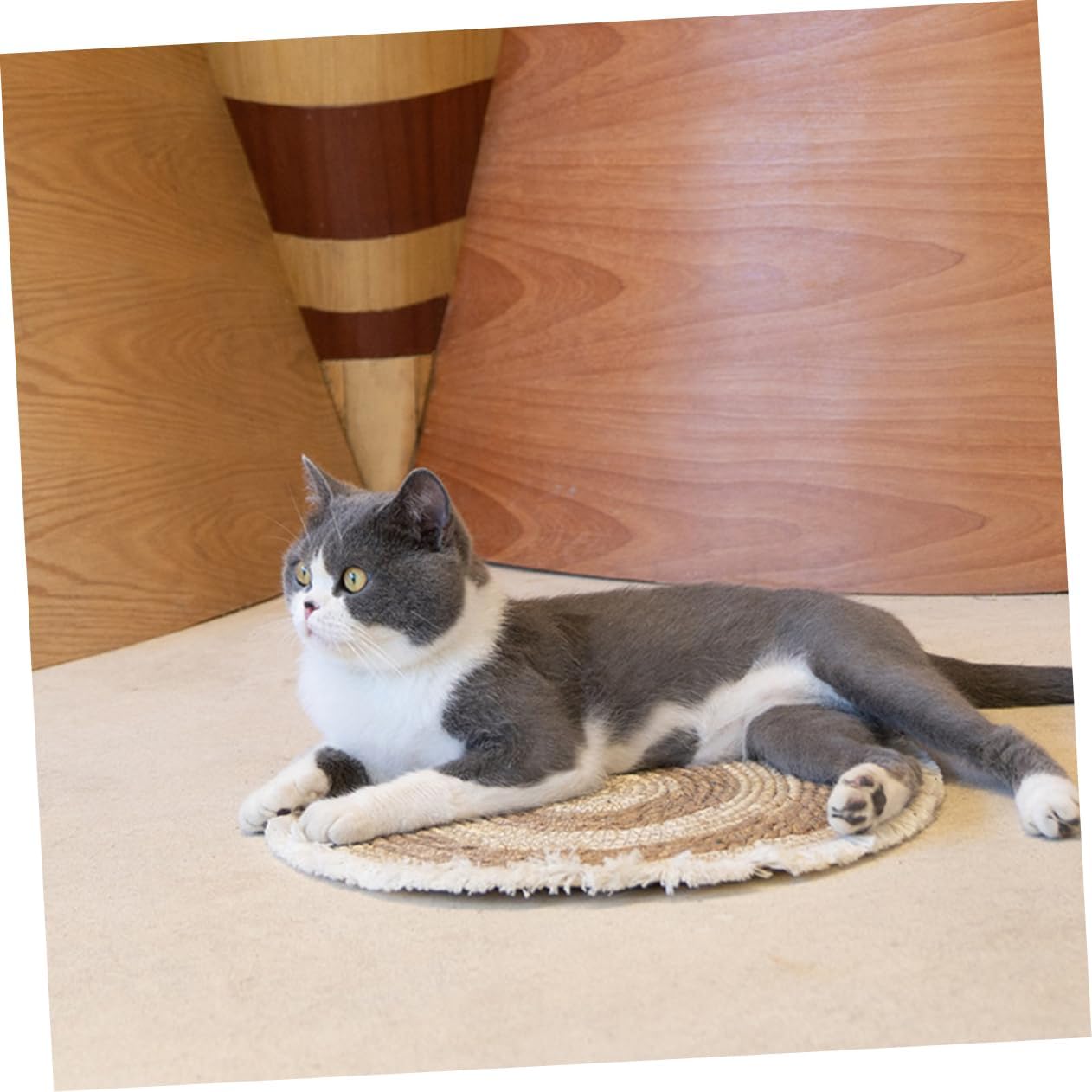 Cat Litter Pad Comfortable Knitting Design Breathable Pet Mat Pet Supplies for Cats