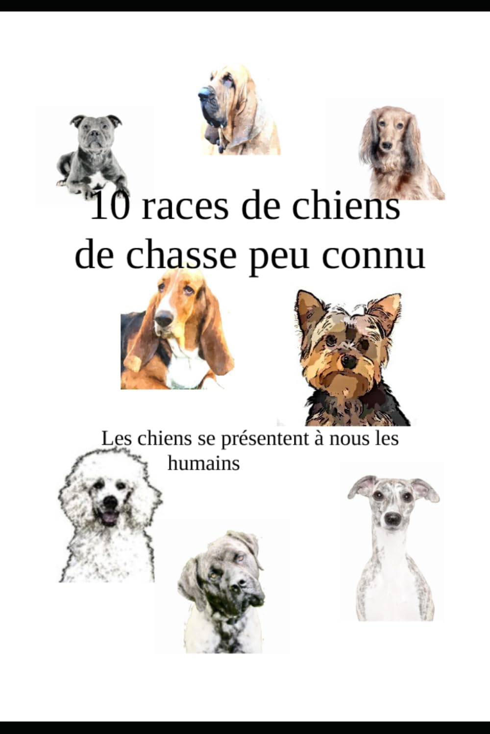 10 races de chiens de chasse peu connu (Les chiens se présentent à nous les humains)