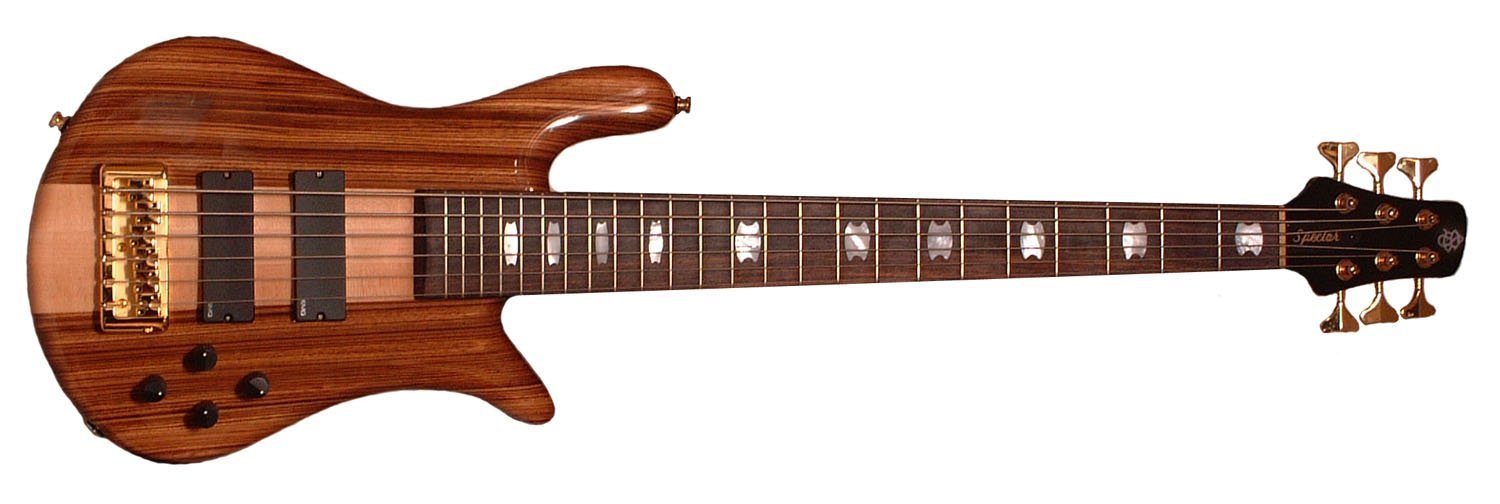 Amazon | Spector スペクター 6弦ベース Euro6LX EX Bass Guitar 