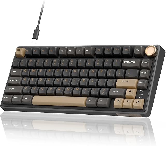 RK ROYAL KLUDGE R75 Jeu de clavier filé avec volume Knob, 75% Joint de clavier monté, chaud swappable, son crémeux, MDA Profil, PBT Captures-clés