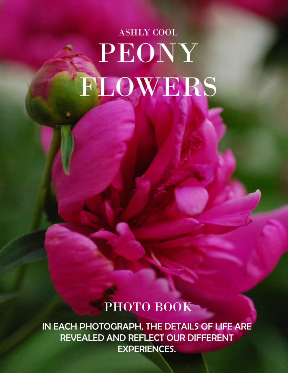 Peony Flowers: Exploring Peony Flowers: A Visual Journey Through Nature’s Majestic Blooms