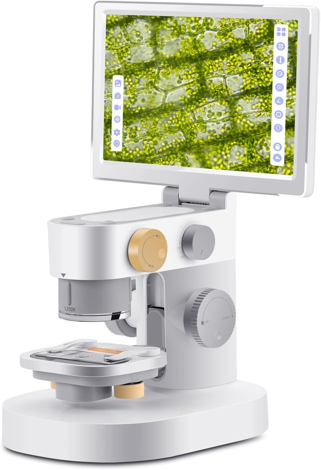 MICROWARE Biological Microscope with 9" IPS Screen- Three Lens 100X, 600X, 1200X Digital Microscope for Adults with Touch Control, 24MP Resolution, Windows/Mac OS Compatible-image-6