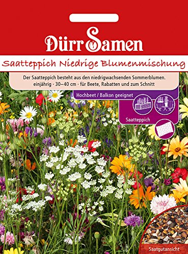 Dürr Samen 4405 Faible mélange de baies pour jardinière de balcon (tapis de semence)