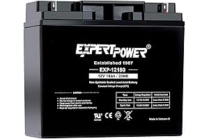 ExpertPower EXP12180 12V 16Ah Deep Cycle Lead Acid Battery