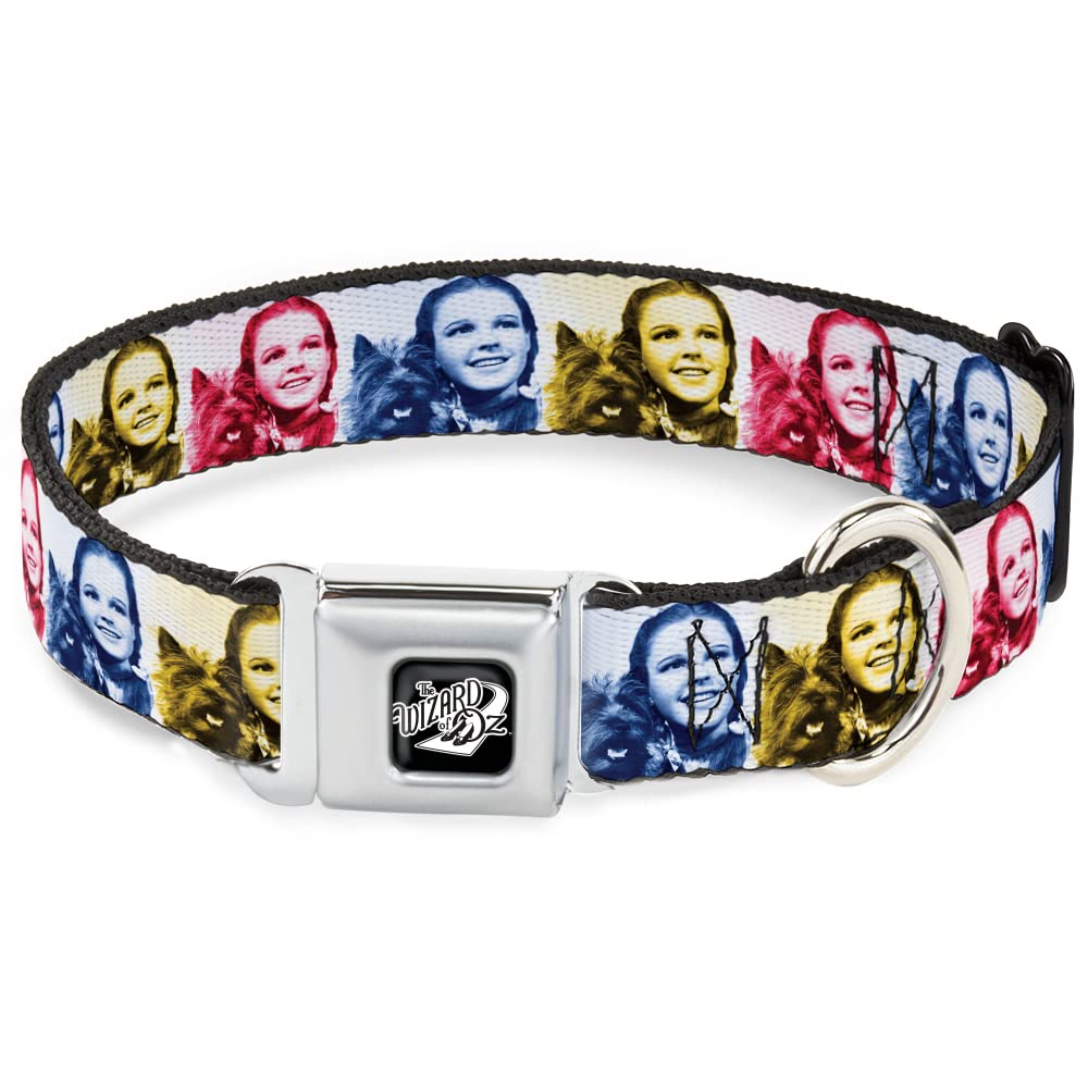 Collier pour chien en nylon robuste 2,5 cm de large avec boucle métal