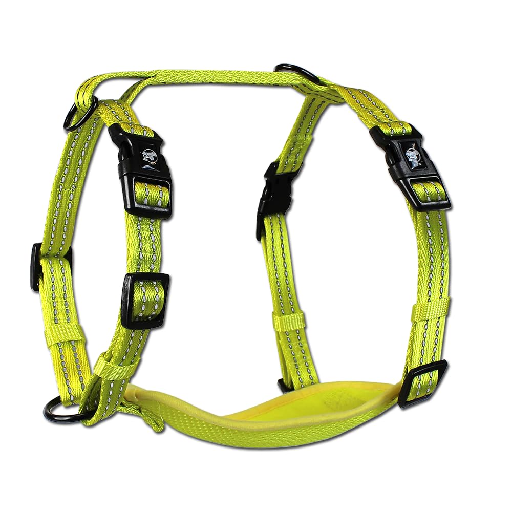 Alcott Adventure Essentials - Arnés de Visibilidad, tamaño Mediano, Color Amarillo