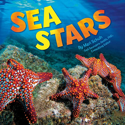 Sea Stars by Gail Saunders-Smith, Mari Schuh episode artwork