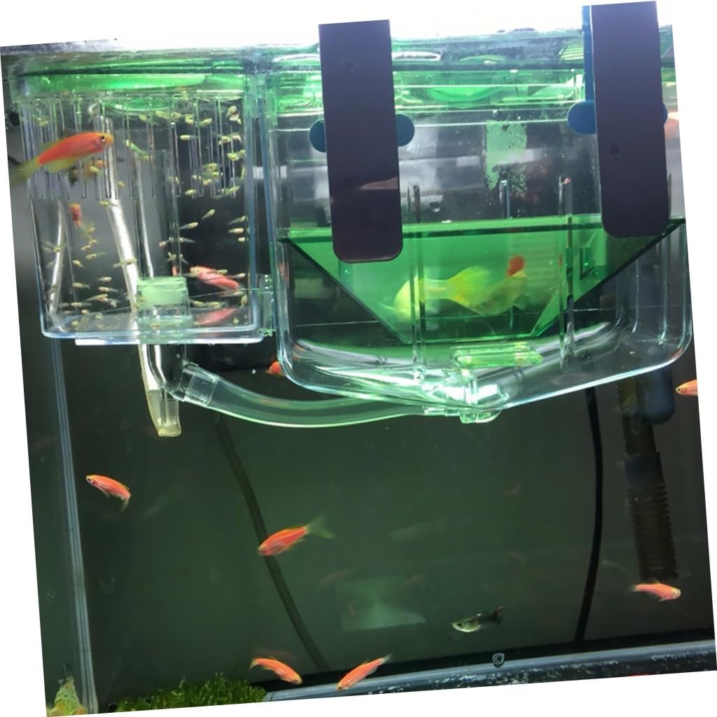 Self-Guided Fish Breeding Tank Isolation Box for Juvenile Fish Transparent Design for Easy Observation
