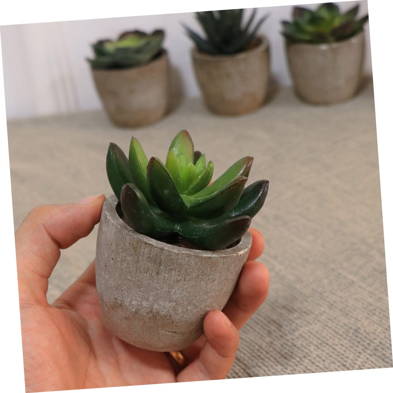 Künstliche Sukkulentenpflanze 5 Stück Packung Retro Bonsai Deko im Topf