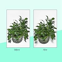 Vista 8 de Difusor Softbox, difusor de luz plegable de 15.7 pulgadas, difusor de flash de anillo multifunción, caja de luz para paraguas para accesorios